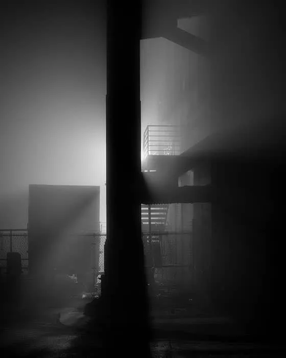 Structural Illuminations: Art Afterparty